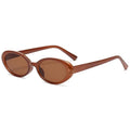 The Curator |Classic Oval PC Sunglasses