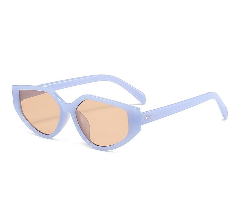 Muse | Fashion Cat-Eye Acetate Sunglasses