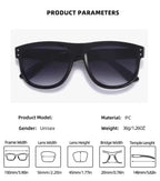 Paradigm |Classic Square PC Sunglasses
