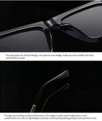 Wanderlust |Classic Wayfarer PC Sunglasses