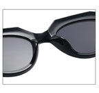 The Naturalist |Fashion Oval PC Sunglasses