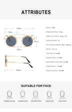 Phaedra |Retro Vintage Round/Hexagonal PC Sunglasses