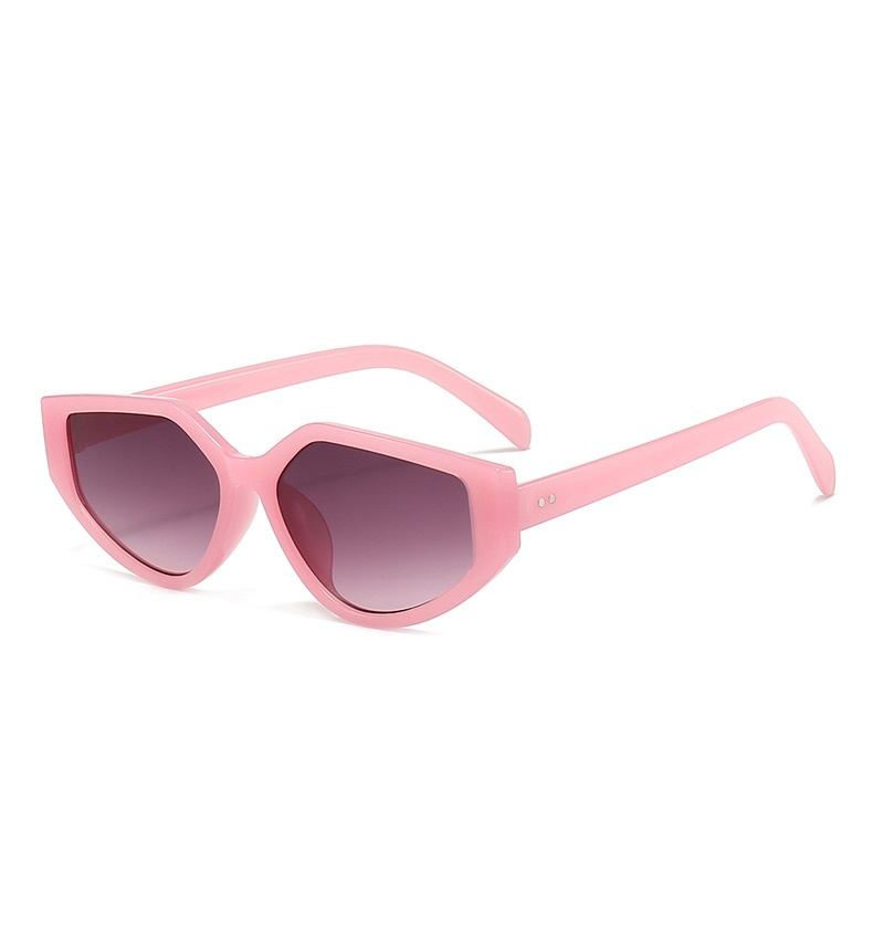 Muse | Fashion Cat-Eye Acetate Sunglasses