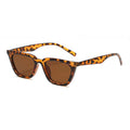 Zephyr | Classic Cat-Eye Acetate Sunglasses